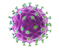 Вагітність і папілловірусной інфекція