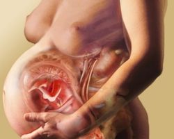 Краснуха та інфекції при вагітності