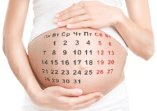 Інтерактивний календар вагітності
