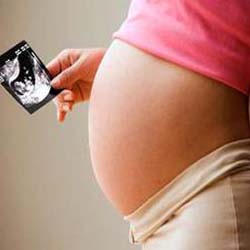 Шкідливо робити УЗД при вагітності